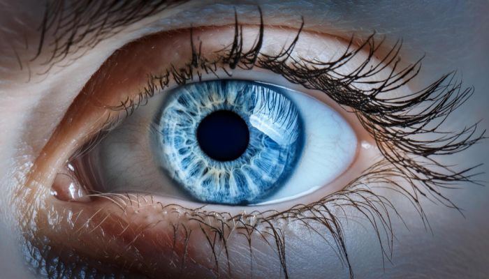 İnsan Gözünün Algılayabileceği En Yüksek Çözünürlük: En Küçük Piksel Teknolojisi Geliştirildi