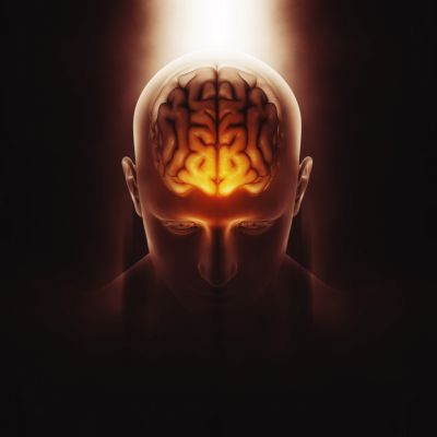 Sosyal Beyin Hipotezi