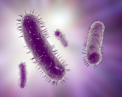 Bakterilerin varoluş savaşı