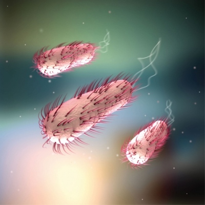 Plastik yiyen bakteri keşfedildi