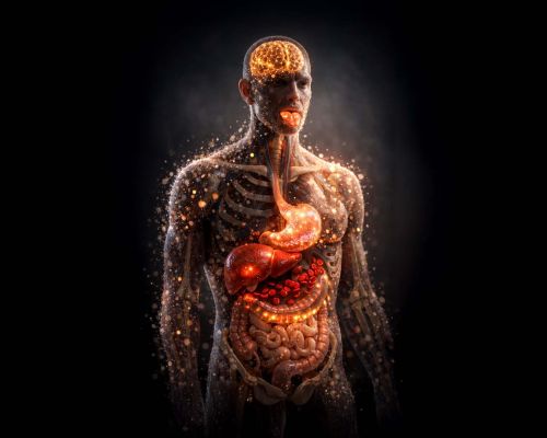 10 Dakika Önceki Kişi Değilsiniz:,Vücudunuz Sandığınızdan Çok Daha Hızlı Yenileniyor