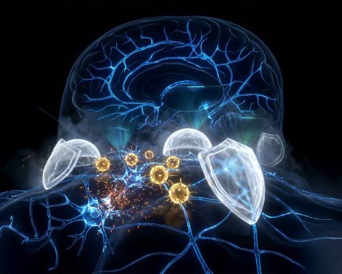 Alzheimer Tedavisinde Yeni Dönem: Bilim İnsanları Hastalığı Bir Bağışıklık Sistemi Yanılgısı Olarak Yeniden Tanımlıyor