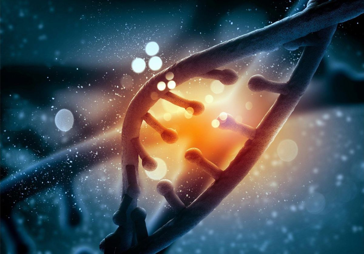 Yeni Keşfedilen Gen Kümesi Ömrü Uzatıyor