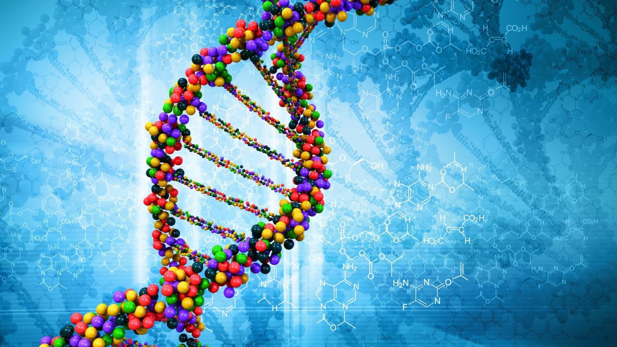 DNA Veri Tabanları