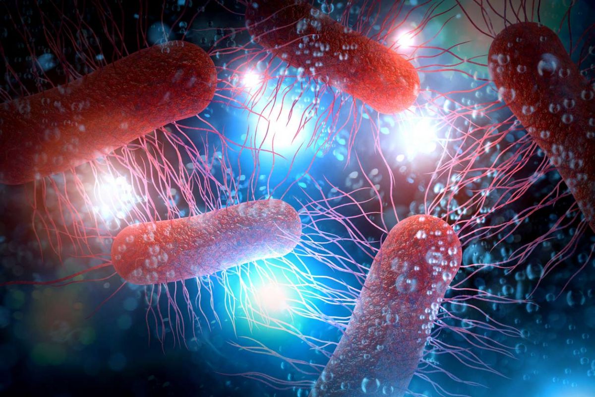 Yeni Antibiyotik Tehlikeli ve Dirençli Bakterileri Öldürüyor