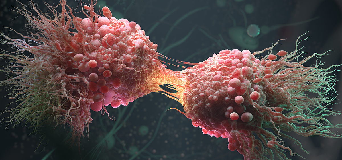 Kanser Hücreleri Hakkında Yeni Bilgiler