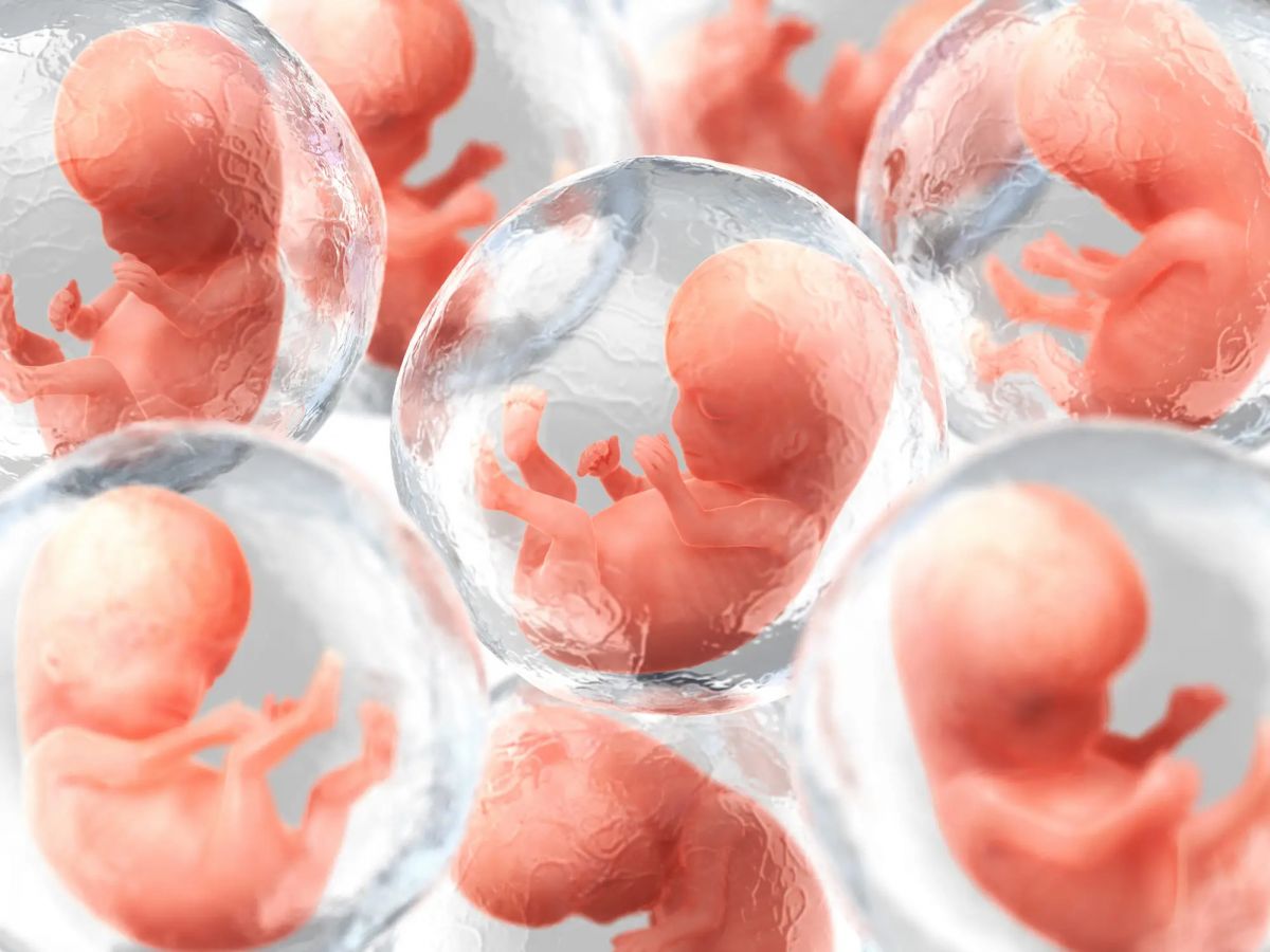 Yapay insan embriyosu yapma çalışmalarına başlandı