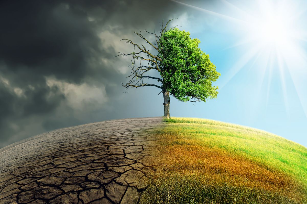 Önlenebilir bir felaket: İklim değişikliğinin sağlığımıza etkisi