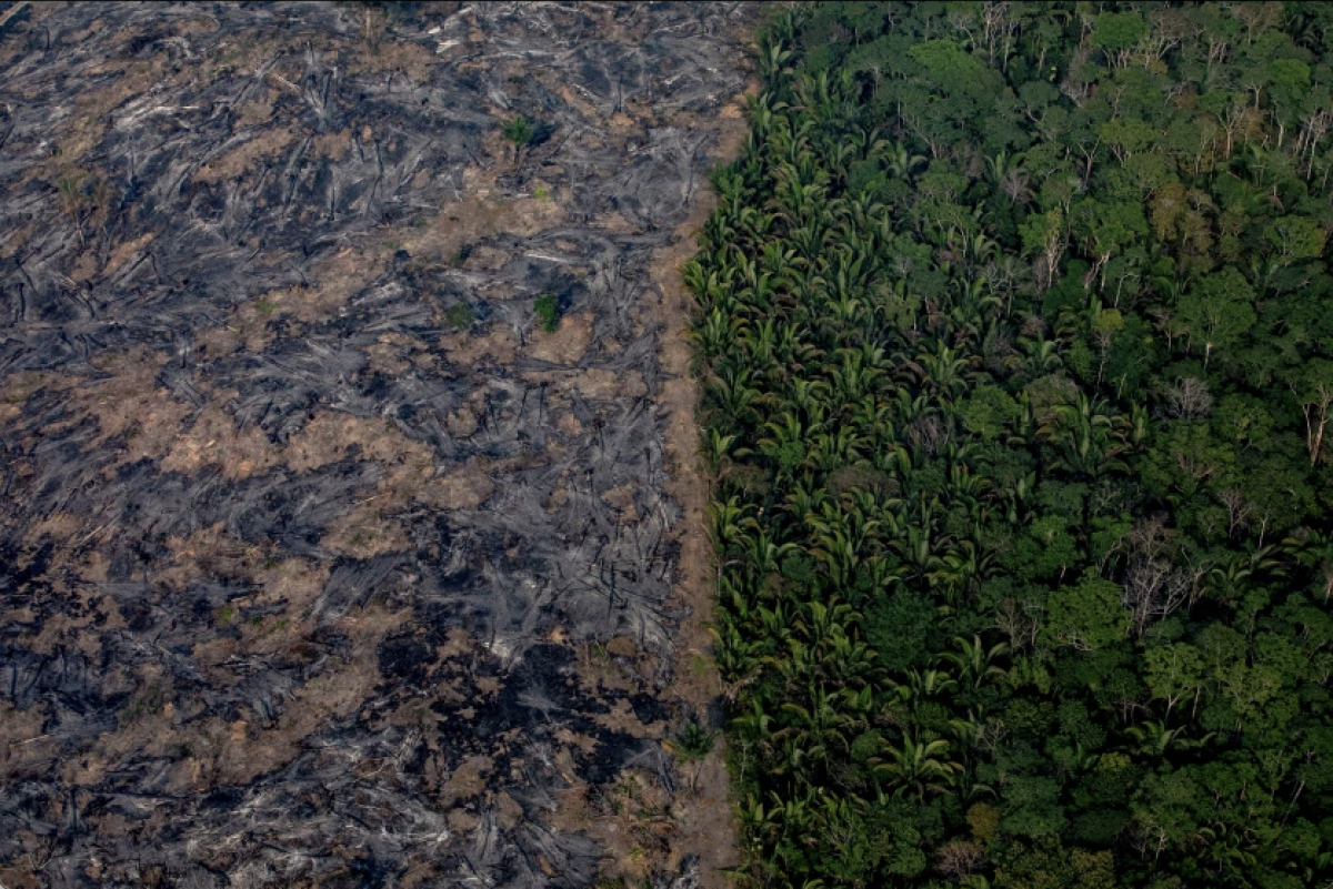 Amazonlar da son 15 yılın en büyük felaketi