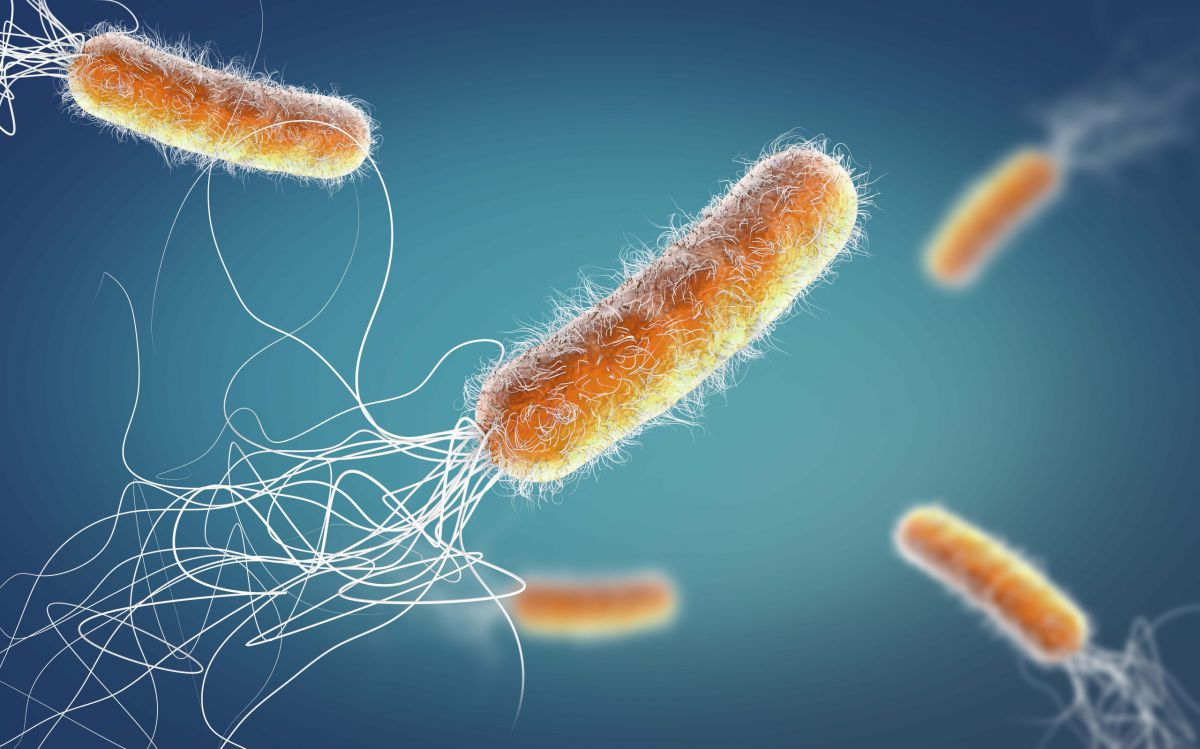 Bakterilere elveda: Nano seviyede ölümcül bakır yapı