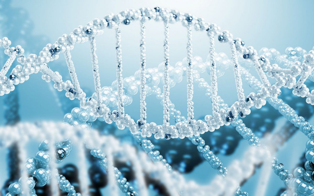 Tarih öncesi insan DNA'sı bitlere ait sıvıda bulundu