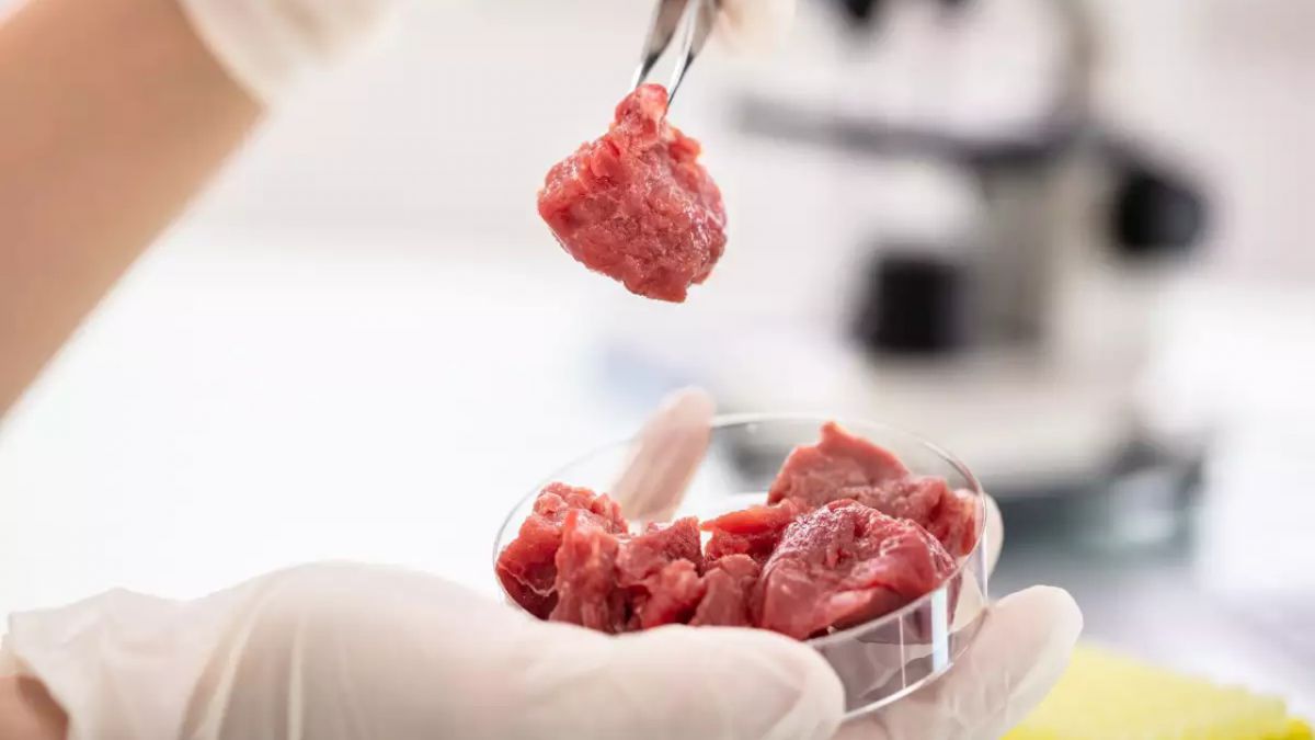 Laboratuvarda geliştirilen etlerin arkasındaki “Kanlı Gerçek”