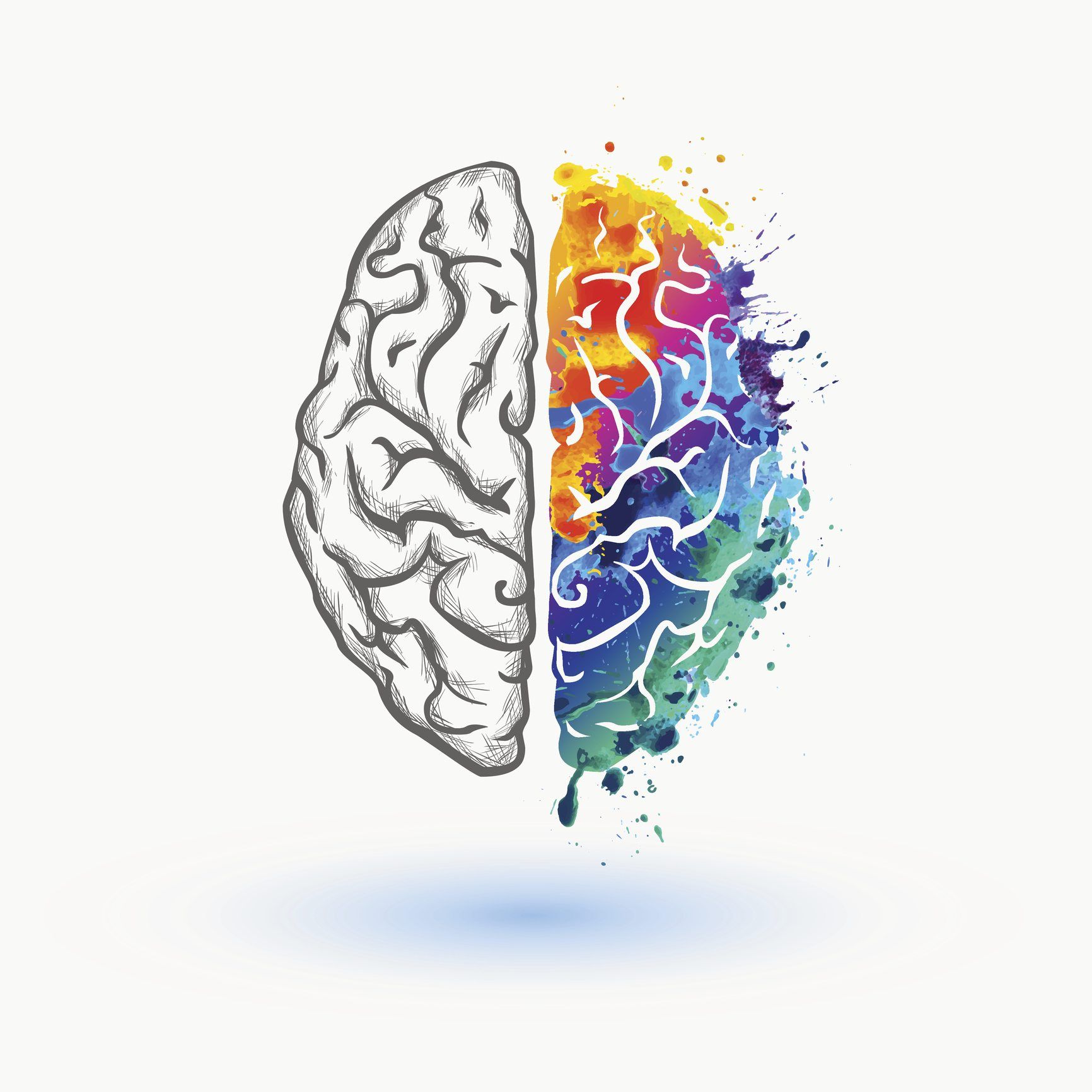 Beynimizin hangi bölgesi renkleri algılıyor?