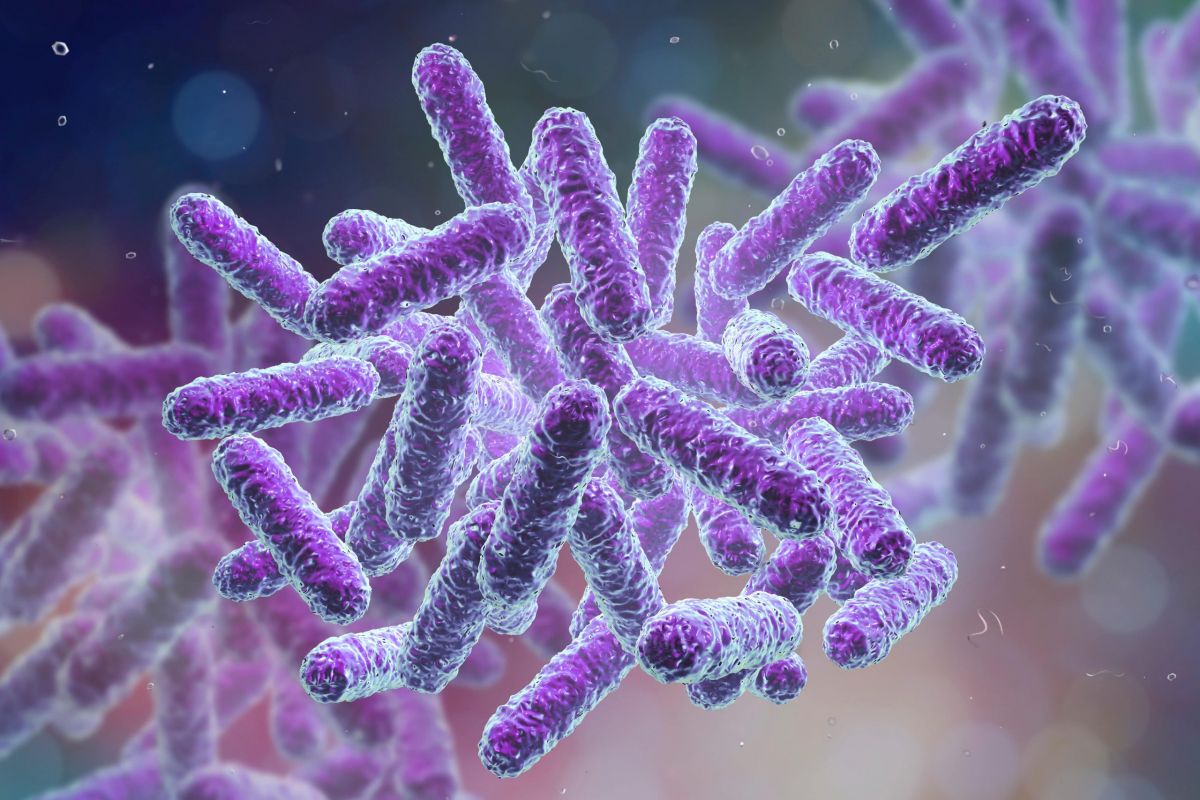 Bağırsak Mikrobiyomu Felç Riskini Ve Şiddetini Etkileyebilir