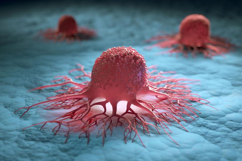 Kanser hücrelerinin "dokunaçları" vücudumuzu istila etmelerini sağlıyor