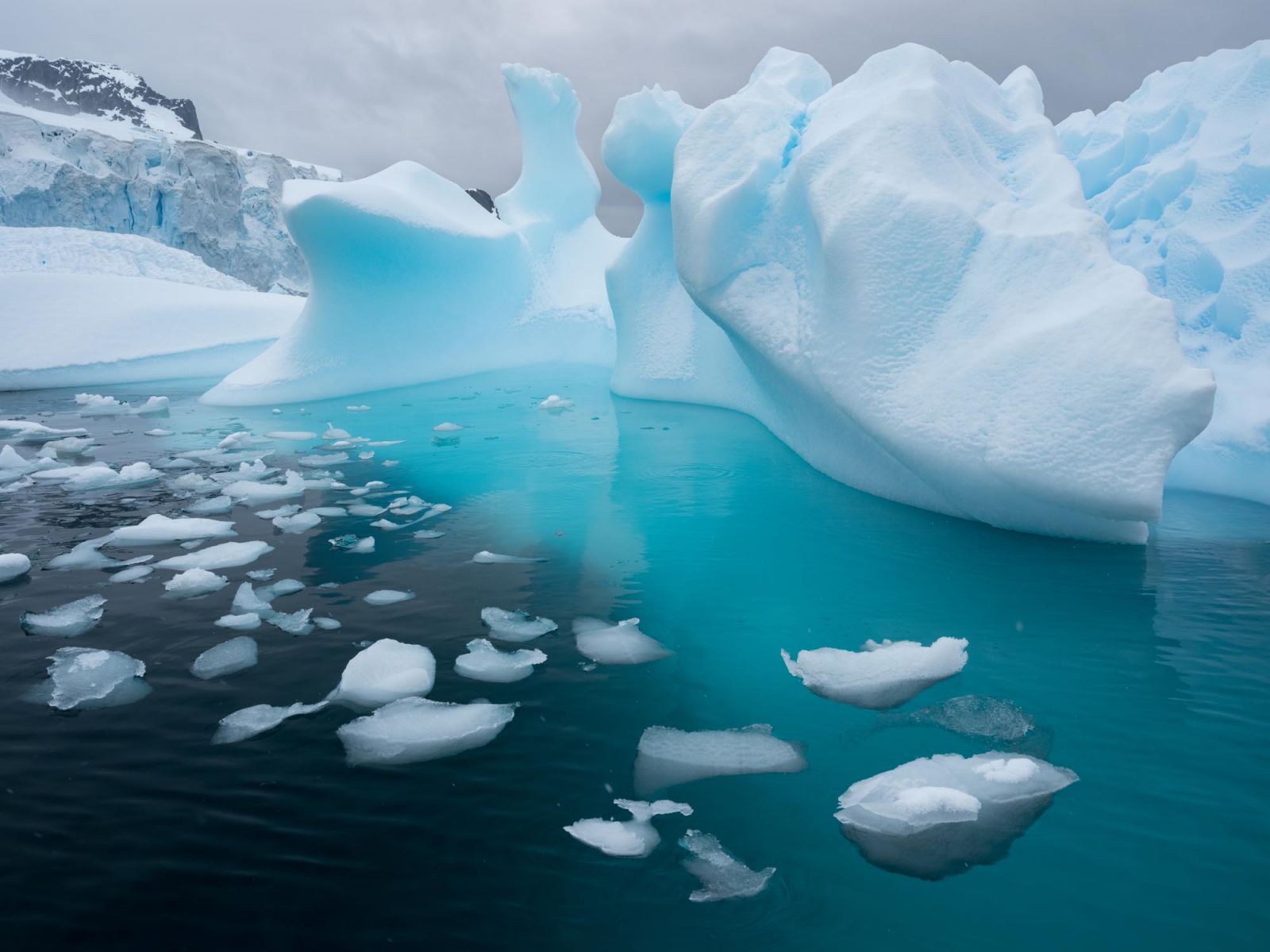 Antarktika'da Yeni Aşırılıklar ve Küresel Isınma İlişkisi
