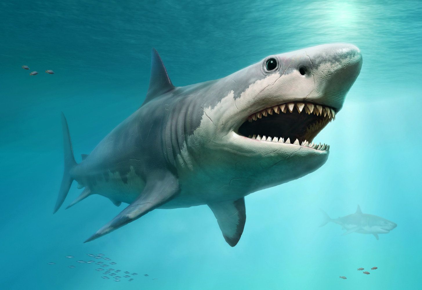 Megalodon Köpekbalıkları Aşırı Isınarak Mega Yırtıcılara Dönüşmüş Olabilir